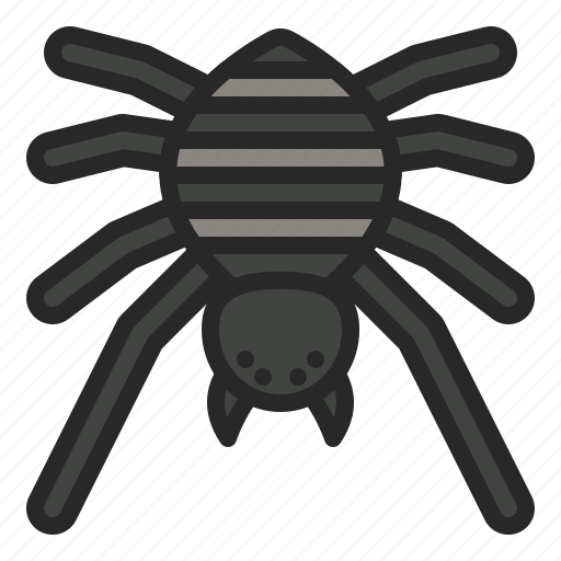 Arachonophobia, bug, halloween, horror, insects, spider icon - Download on Iconfinder