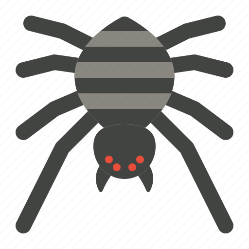 Arachonophobia, bug, halloween, horror, insects, spider icon - Download on Iconfinder