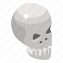 halloween skull, human skull, skull, skull anatomy, skull bones