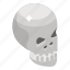 halloween skull, human skull, skull, skull anatomy, skull bones 
