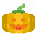 pumpkin, lantern, jack, halloween, light, tear