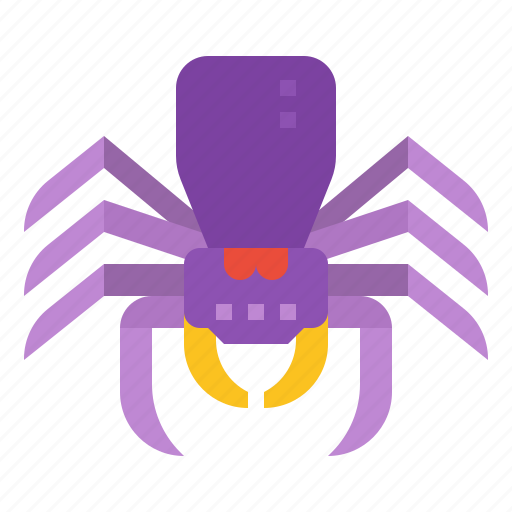 Spider, halloween, animal, scary icon - Download on Iconfinder