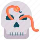 snake, halloween skull, scary skull, creepy skull snake, viper 