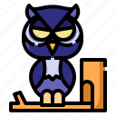 owl, nocturnal, hunter, bird, halloween