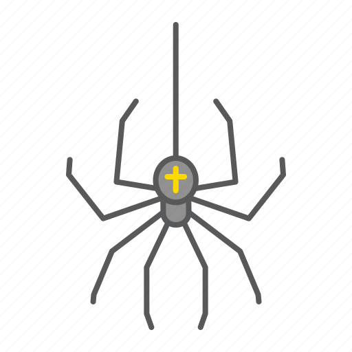 Spider, insect, arachnid, scary, halloween, horror icon - Download on Iconfinder
