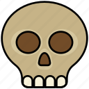 halloween, skull, skeleton, horror