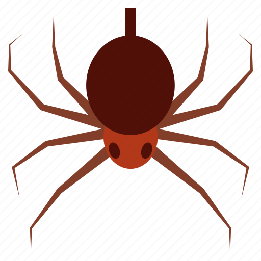 Halloween, bug, spider, insect, scary icon - Download on Iconfinder