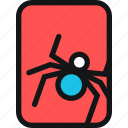 beetle, cards, insect, spider, toxic