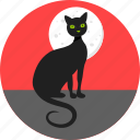 cat, bad luck, black cat, halloween, kitty, moon, superstition
