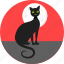 cat, bad luck, black cat, halloween, kitty, moon, superstition 