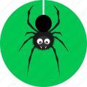 spider, beetle, bug, halloween, horror, insect, poison