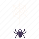spider, spider web, halloween, horror, insect, web, spooky, ghost