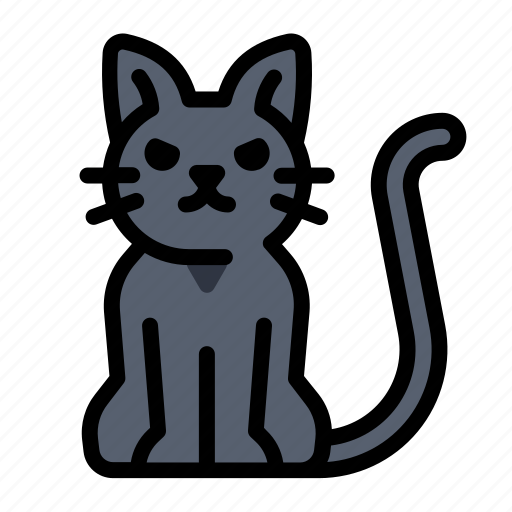 Cat, halloween, black, cute, witch, kitten, animal icon - Download on Iconfinder