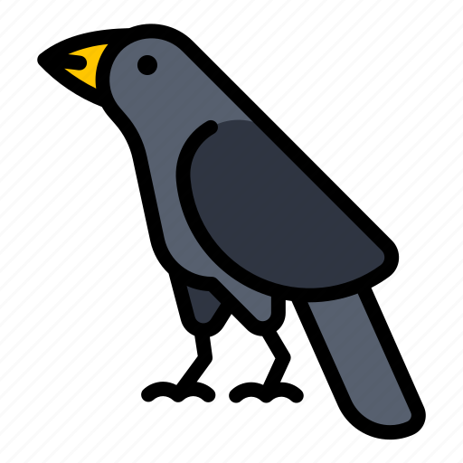 Crow, bird, black, animal, raven, wild, feather icon - Download on Iconfinder