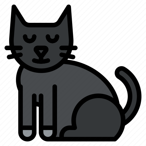 Halloween, blackcat, cat, horror, scary icon - Download on Iconfinder
