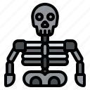 halloween, skeleton, bone, anatomy