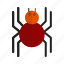 bug, halloween, insect, spider, spiderweb, web 