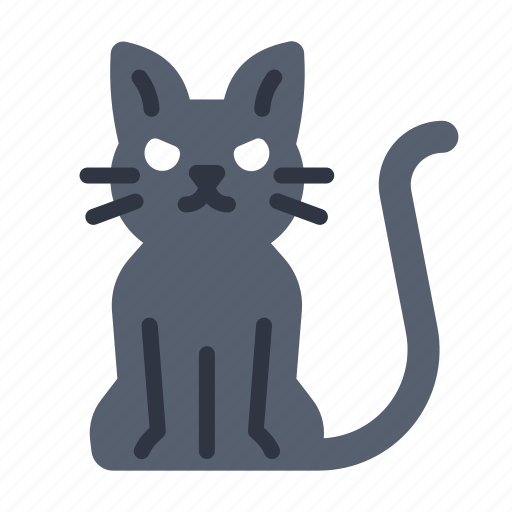 Cat, halloween, black, cute, witch, kitten, animal icon - Download on Iconfinder