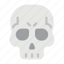 skull, skeleton, head, death, dead, human, halloween