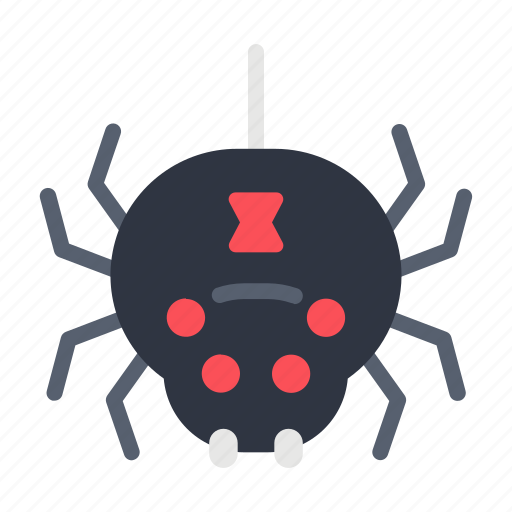 Spider, halloween, web, nature, insect, arachnid, cobweb icon - Download on Iconfinder