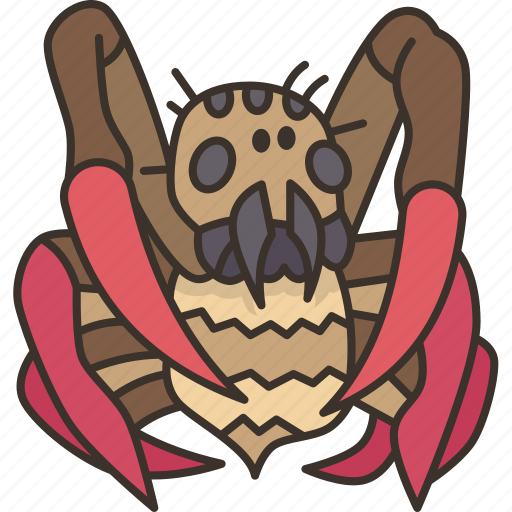 Spiders, arachnid, insect, creepy, crawly icon - Download on Iconfinder