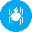 bug, halloween, insect, spider, spiderweb, web