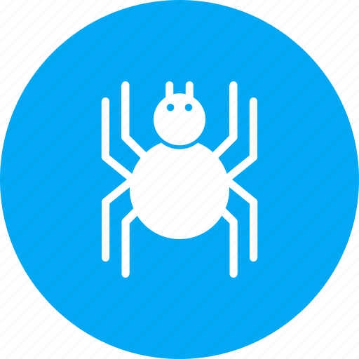 Bug, halloween, insect, spider, spiderweb, web icon - Download on Iconfinder