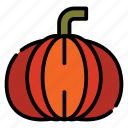 pumpkin, halloween, vegetable, halloween party, spooky, food and restaurant, organic