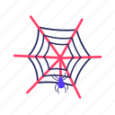 spiderweb, spider, insect, bug, animal, halloween, horror, scary, spooky