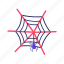 spiderweb, spider, insect, bug, animal, halloween, horror, scary, spooky 