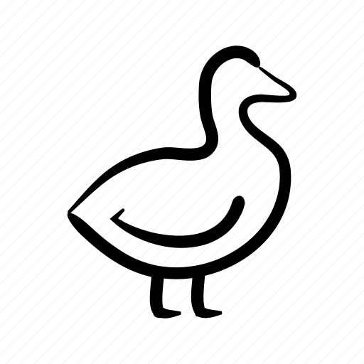Animal, bird, duck, wild, zoo icon - Download on Iconfinder