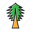 ecology, environment, forest, nature, pine, plant, tree 