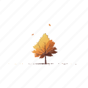 autumn, fall, thanksgiving, season, nature, weather, down, tree, leaf, leaves