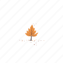 autumn, fall, leaves, leaf, tree, down, weather, nature, season, thanksgiving