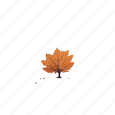 autumn, fall, thanksgiving, season, nature, weather, down, tree, leaf, leaves