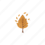 autumn, fall, thanksgiving, season, nature, weather, tree, leaf, leaves, hand draw, forest 