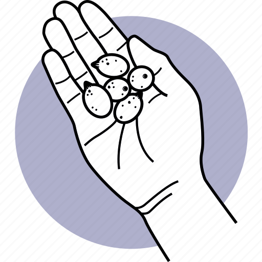Hand, holding, seed, fruits, seeds icon - Download on Iconfinder