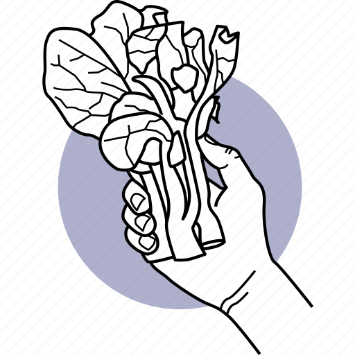 Hand, holding, vege, vegetables, lettuce, food, plant icon - Download on Iconfinder