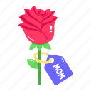 rose bud, rose flower, beautiful flower, red flower, floral