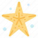holidays, life, star, starfish