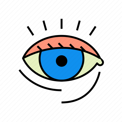 Anatomy, eye, head, view, vision icon - Download on Iconfinder