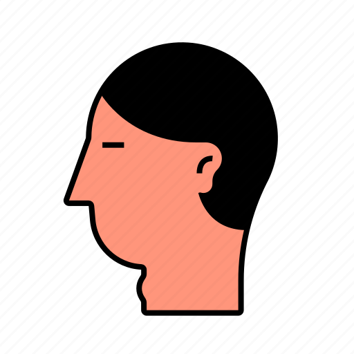 Anatomy, head, men, people icon - Download on Iconfinder