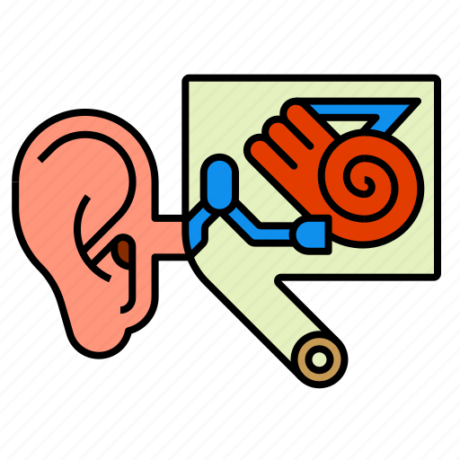 Anatomy, ear, head icon - Download on Iconfinder