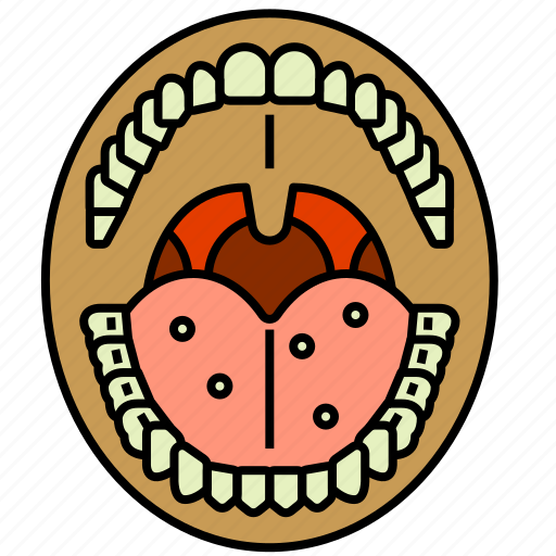 Anatomy, dental, dentist, head, jaw, teeth icon - Download on Iconfinder
