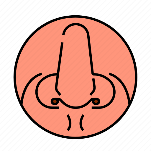 Anatomy, head, nose, smell icon - Download on Iconfinder