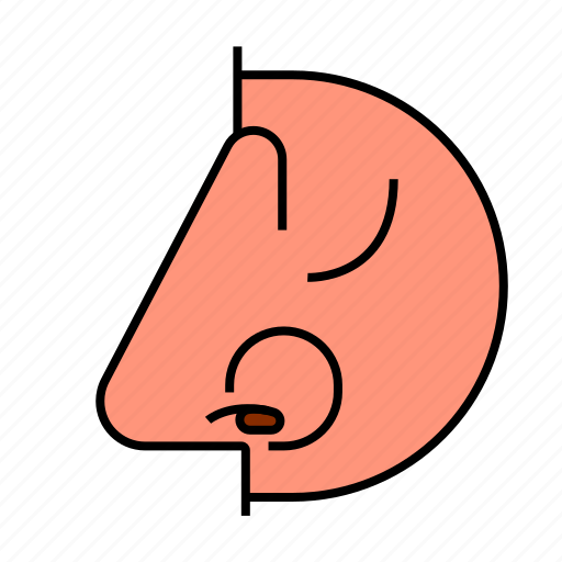 Anatomy, face, head, nose, smell icon - Download on Iconfinder