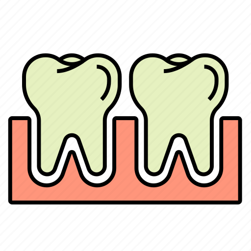 Anatomy, dental, dentist, head, teeth icon - Download on Iconfinder
