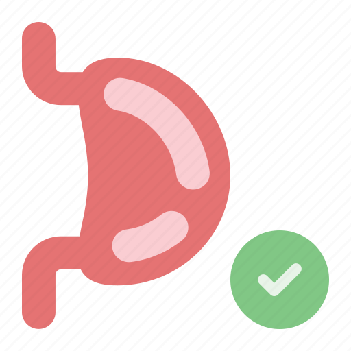 Health, stomach, healthcare, medical, medicine icon - Download on Iconfinder