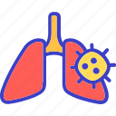 lungs, corona, virus, flu