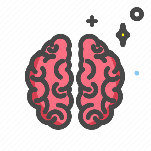 Anatomy, brain, head, healthcare, mind, sickness, thinking icon - Download on Iconfinder